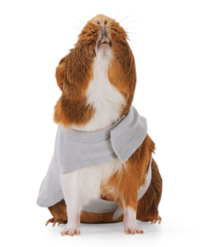 YOULY Love is Love Small Animal Tee, X-Small